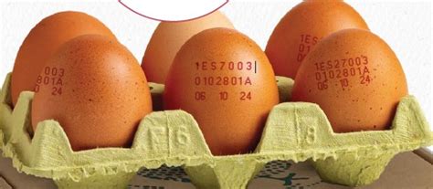 Infografía sobre los códigos de los huevos (0, 1, 2, 3) y las condiciones reales de espacio en cada uno