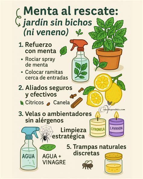Infografía con los olores que repelen arañas: menta, lavanda, eucalipto, citronela, canela, cítricos, cedro, ajo.