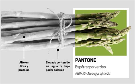 Esquema: Cómo pelar y romper el espárrago blanco correctamente