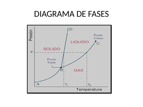 Diagrama de las fases de daño de la Nuez durante el ataque de los zombis