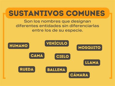 Infografía comparativa de sustantivos propios y comunes con ejemplos