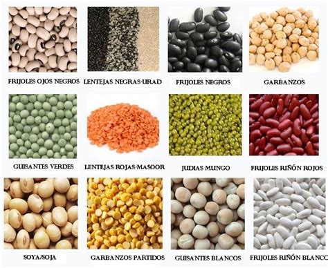 Infografía que muestra los diversos tipos de legumbres y su densidad de nutrientes esenciales.