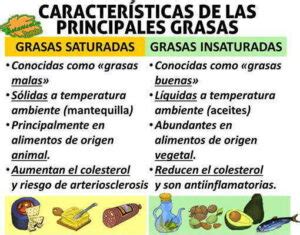 Tabla comparativa detallando el desglose de grasas (saturadas, monoinsaturadas, poliinsaturadas, trans) y colesterol para la porción de 120 g.