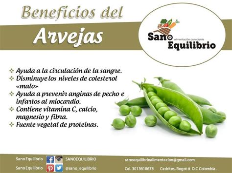 infografía sobre los beneficios nutricionales de las arvejas
