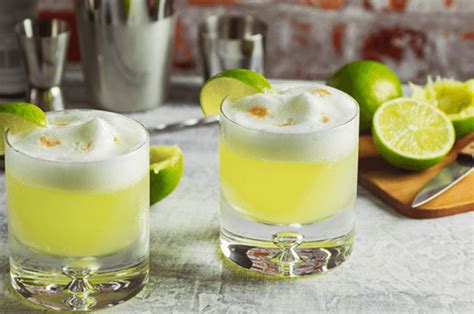 Ilustración de los ingredientes básicos para un pisco sour: pisco, limón, jarabe de goma y hielo.