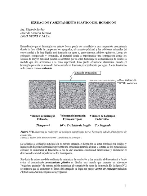 Esquema del movimiento del agua en el hormigón fresco y la exudación