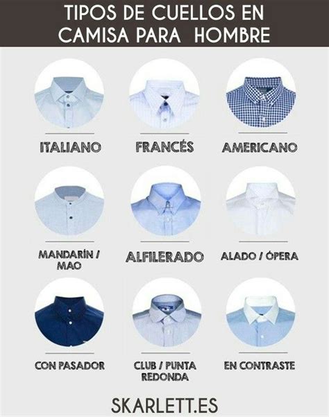 Infografía que muestra diferentes tipos de cuellos de camisa