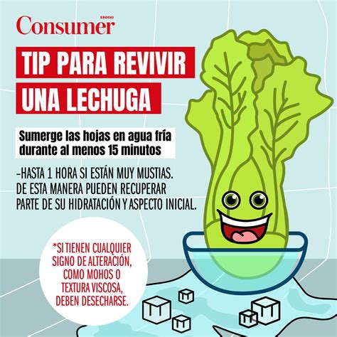 Infografía o secuencia de imágenes mostrando cómo revivir lechuga con agua fría y hielo