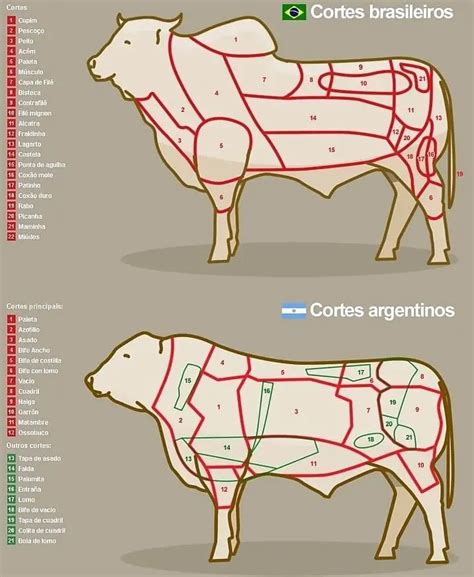 Infografía de los cortes de carne para churrasco en Brasil