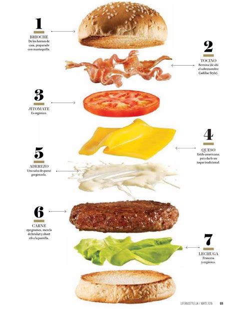 Infografía: Clasificación de ingredientes para hamburguesas vegetales: Base (legumbres/cereales), Verduras (sabor/humedad), Aglutinantes (textura) y Condimentos.