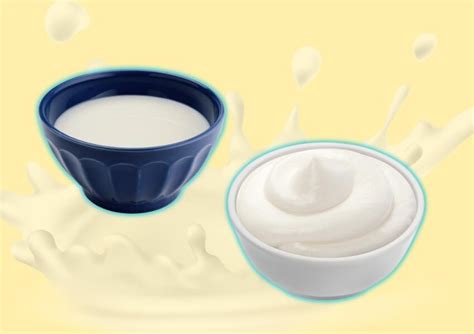 infografía comparativa entre nata y crema de leche, sus tipos y usos