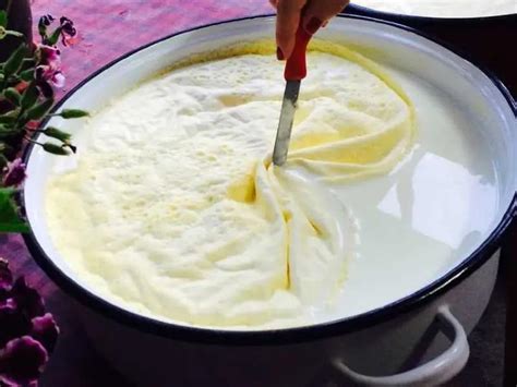 esquema de cómo se forma la capa de nata en la leche caliente