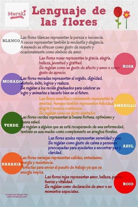 Infografía que ilustra el lenguaje de las flores y sus significados emocionales básicos