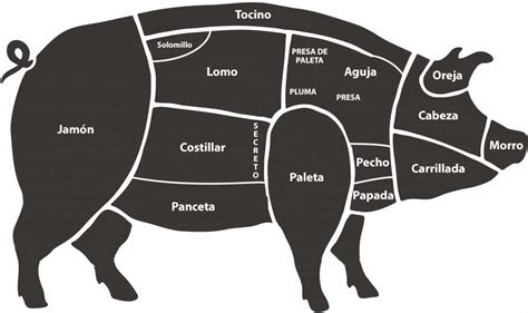 Esquema de las diferentes partes del cerdo y su uso