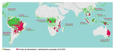 Mapa global mostrando las regiones afectadas por la deforestación debido a las plantaciones de palma aceitera