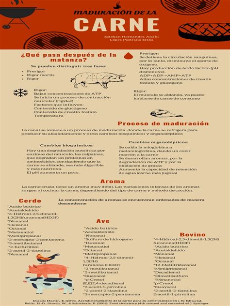 infografía mostrando la composición de la carne (agua, proteína, grasa)