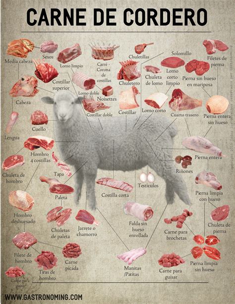 infografía comparando carne de animales jóvenes y adultos