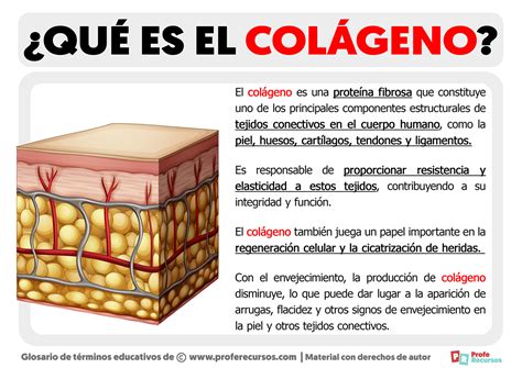 Esquema nutricional que muestra la interacción entre el colágeno de la gelatina, los antioxidantes del cacao y las grasas saludables de la leche de coco.
