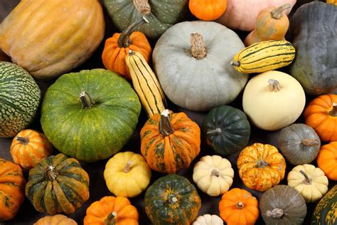 Variedad de remolachas y calabazas de temporada, mostrando sus colores vibrantes.