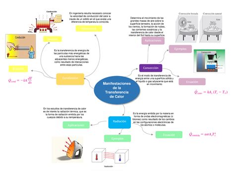 Esquema conceptual de los fenómenos de transferencia de calor y masa durante el secado de un grano.