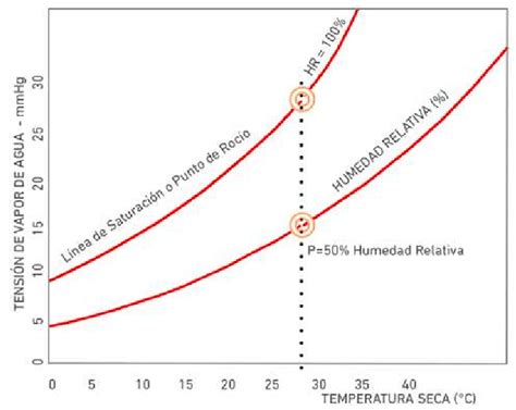 Curva de sorción típica para un producto higroscópico, mostrando la relación entre humedad de equilibrio y humedad relativa a una temperatura dada.