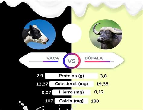 Esquema visual que muestra la diferencia entre mozzarella de búfala (DOP) y mozzarella de leche de vaca
