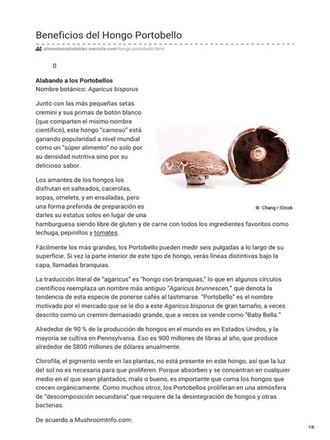 Infografía de los beneficios nutricionales del Portobello (vitaminas, minerales, fibra)