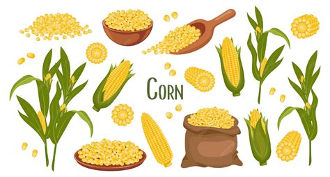 Ilustración de granos de maíz en un bol con aceite y sal