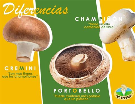 Comparativa visual de champiñón común, portobello y botón.
