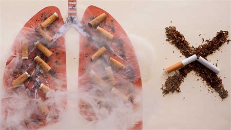 Esquema sobre el proceso de limpieza y regeneración de los pulmones tras dejar de fumar.