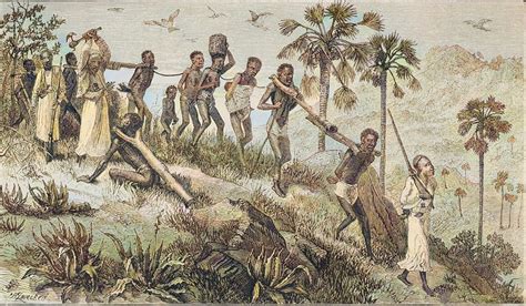 Ilustración histórica de esclavos africanos preparando carne con especias.