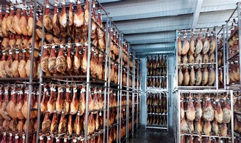 Interior de la bodega de jamones de Don Primo con los productos en proceso de curado