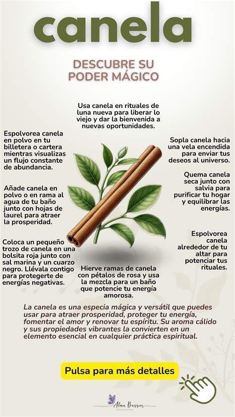 Infografía: El poder de la canela en el Feng Shui para la limpieza y prosperidad energética