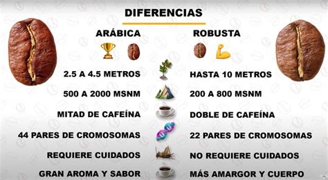 Infografía: Mapa de los orígenes de granos de café Arábica para espresso.