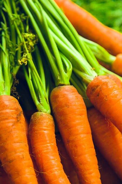 Zanahorias frescas apiladas