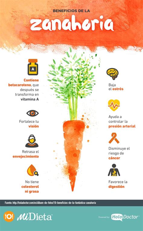 Infografía: Beneficios de la zanahoria para la salud