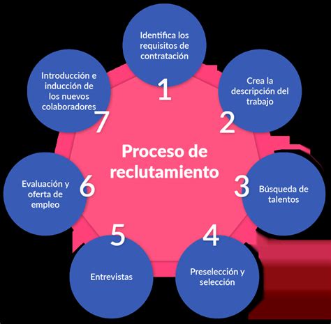 Esquema sobre el proceso de selección de ingredientes naturales para la elaboración de salsas artesanales