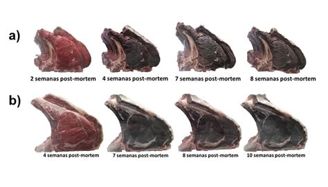 Infografía explicando el proceso de maduración de la carne en cámara de frío.