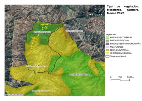 Ejemplo de mapa de vegetación para aplicación de fertilizantes