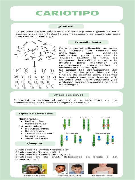 Infografía comparativa del cariotipo de jabalí, cerdo doméstico y mestizo