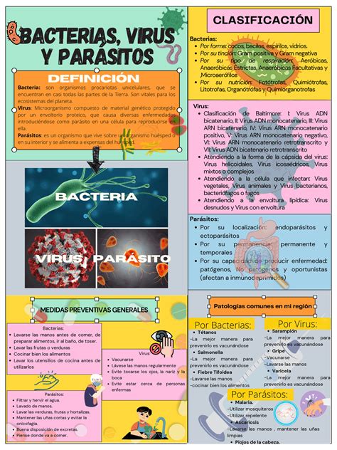 Infografía: Tipos de bacterias y parásitos en el pescado crudo