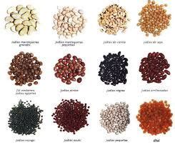 Infografía mostrando diferentes tipos de porotos (negros, pintos, blancos, rojos) con sus características