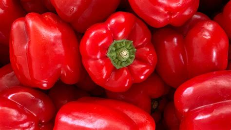 Esquema que muestra el proceso de transformación del pimiento seco en ají color (paprika) en polvo