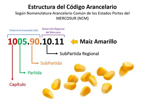 Tabla comparativa que detalla los códigos arancelarios para especias del género Capsicum