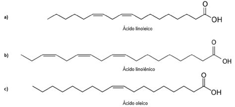 Esquema de los componentes nutricionales del aceite de argán: vitamina E, ácidos grasos linoleico y oleico, y polifenoles.