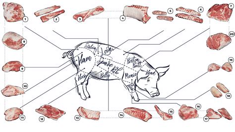 Infografía de los cortes de cerdo