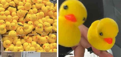 Foto de personas paseando con patitos amarillos en la cabeza en una ciudad