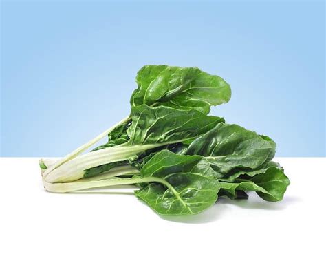 Acelgas frescas y verdes en un manojo