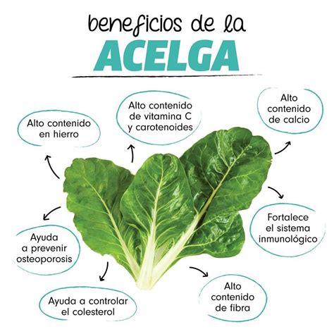 Infografía nutricional de la acelga destacando vitaminas y minerales
