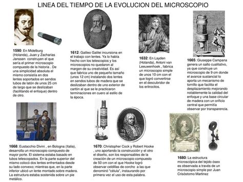 Esquema de la evolución del uso del aceite de pescado a lo largo del tiempo